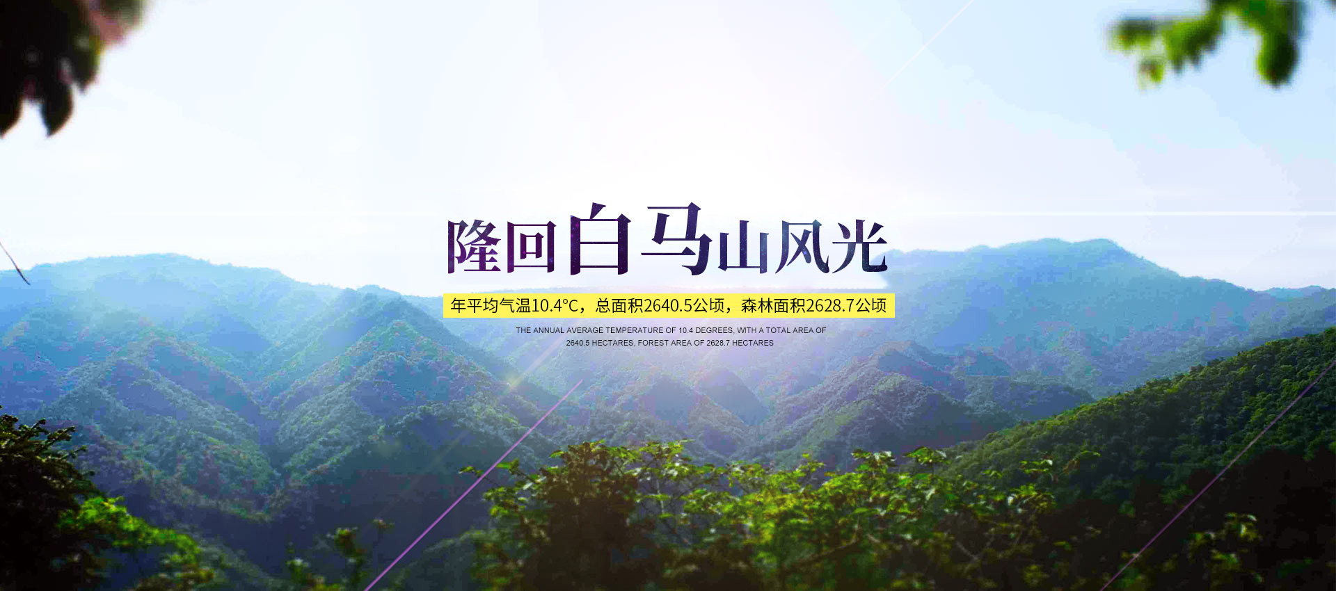 隆回縣龍瑤生態旅游開發有限公司_龍瑤生態旅游|隆回縣生態旅游|隆回縣森林公園